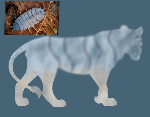 Untitled2221 20260308074507.png