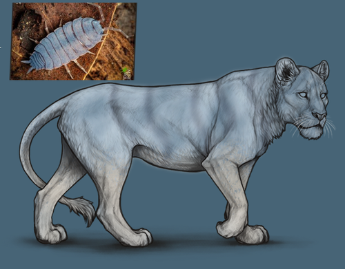 Untitled2221 20260308074504.png