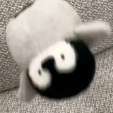 20260308 22401463 edit 1081174568456311.png