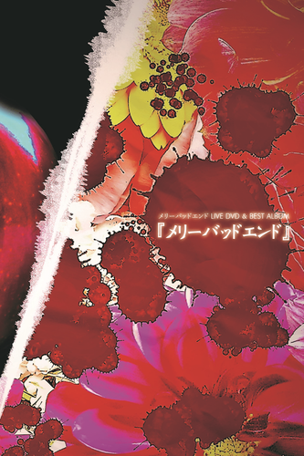 6119f53f74ae.png