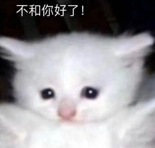 Screenshot 2026 03 08 11 34 19 343 com.xingin.xhs edit.jpg