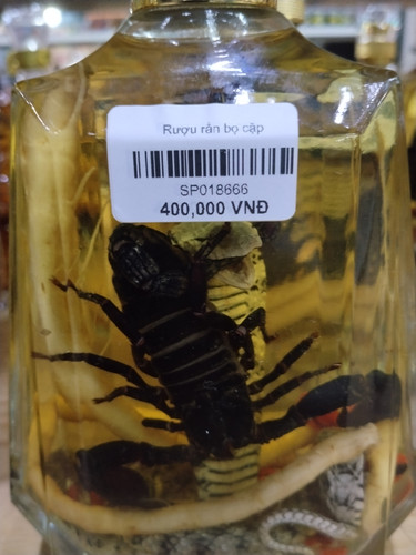 IMG 20251012 232314.jpg