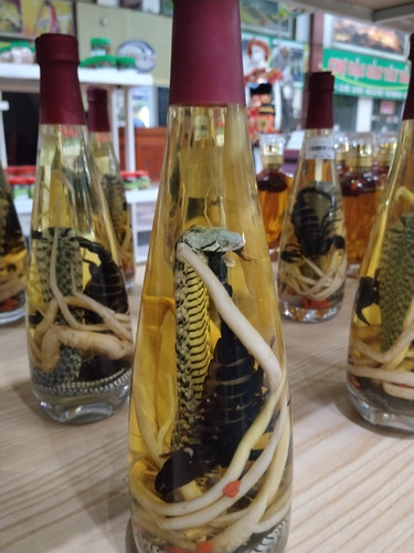 IMG 20251012 232310.jpg