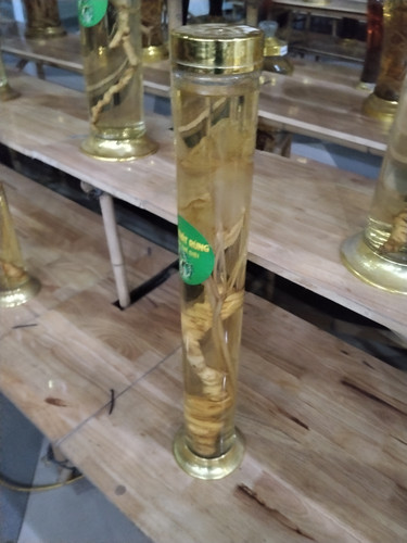 IMG 20251012 232516.jpg