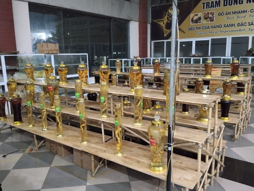 IMG 20251012 232525.jpg