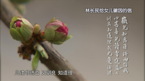 BD01 001007.jpg