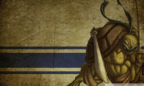 leonardo teenage mutant ninja turtles wallpaper 800x480.jpg