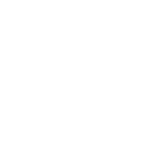 2D Logo White bg.png