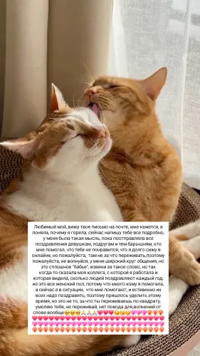 IMG 20260308 175240 538.webp