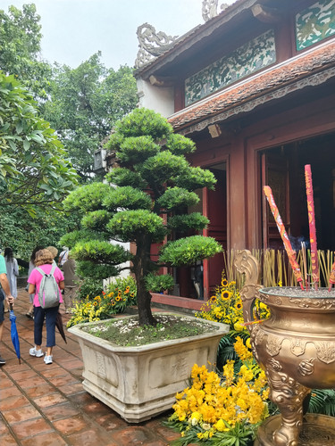 IMG 20251014 123137.jpg