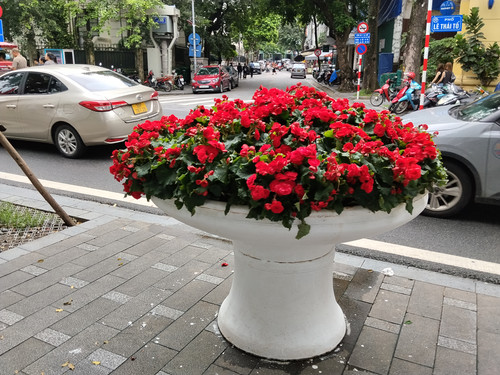 IMG 20251014 163030.jpg