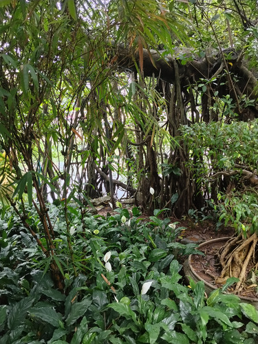 IMG 20251014 124413.jpg