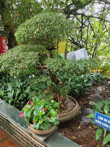 IMG 20251014 124400.jpg