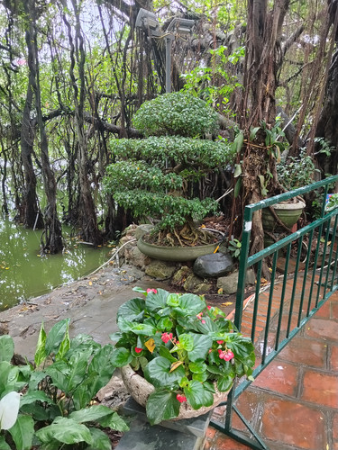 IMG 20251014 124422.jpg