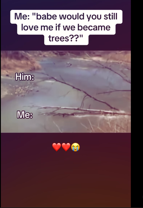 Screenshot 2026 03 07 11.17.51 PM.png
