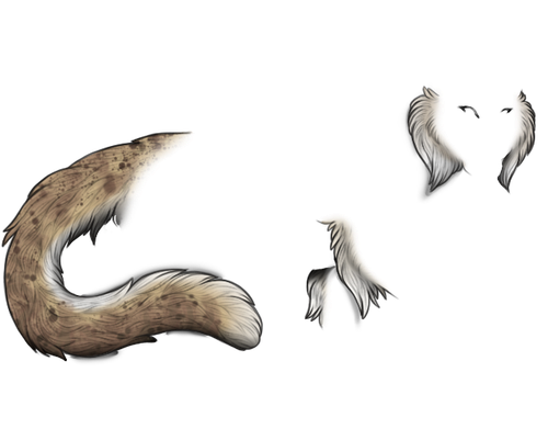 IMG 2851.png