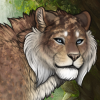 IMG 2845.png