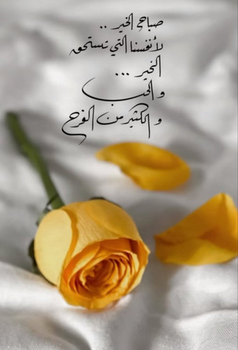 HBFVn7ZW8AALki .jpg
