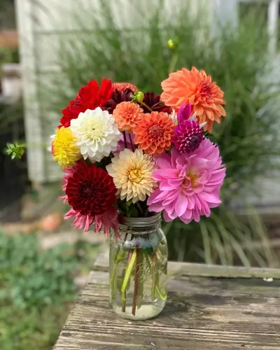 D2A76A6F F848 45A3 A1E1 8452EA876850.webp