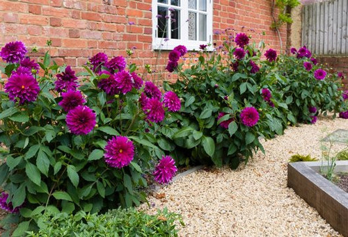 360 F 290264642 eMXeZRqaWSGBaWeTqXJLktVMa7RKKTIp.jpg