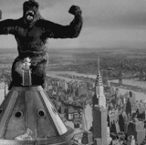 2e6bbc01 f5a1 4562 9bc0 ab985aa77f73.gif