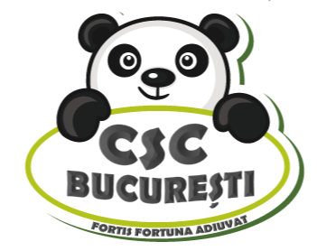 csc logo.png