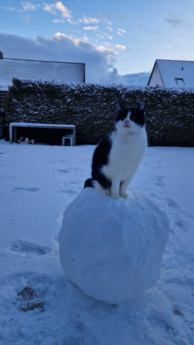 20260102 155815(0).jpg