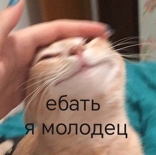 HBMXbxjaMAAodZT?format=jpg.jpg