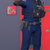 Medal pPk79QQZOp.png