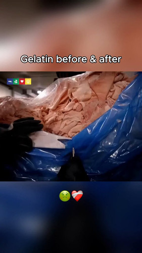 EEeA6VhZFEbwzB9E.jpg