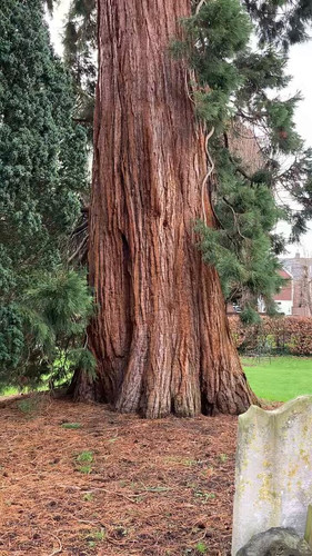 JliLX iGX52iZBEm.jpg