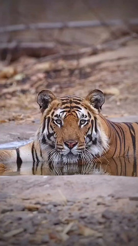 VXXxChIR 95Yn4dZ.jpg