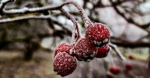 9003675317373264666?url=https%3A%2F%2Fwww.startlap.hu%2Fuploads%2F2026%2F02%2Fpost 21960629.jpg&fb o.jpg