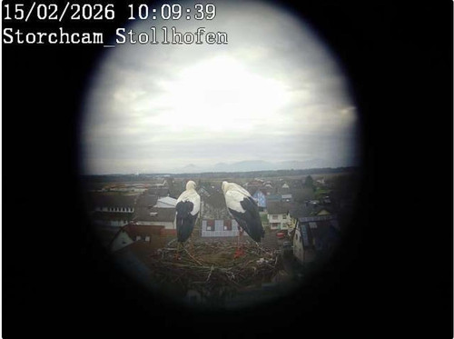 MWSnap043.jpg