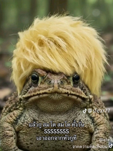 temp image A5BC14BA B3C4 4988 AF32 9629762BDBC0.jpg