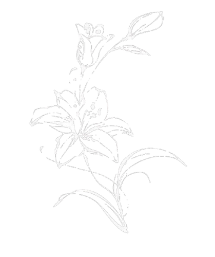 image 2026 02 15 171741701.png