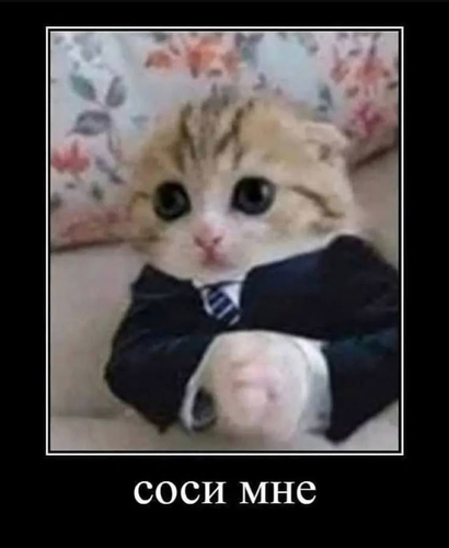 deb6a03dbaaaccbeb8265dd1a3650412.png