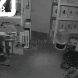 avywLQX 460sv.gif