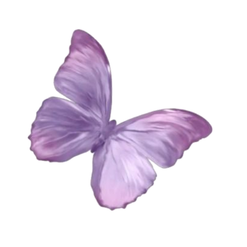 Untitled611 20260215090652.png