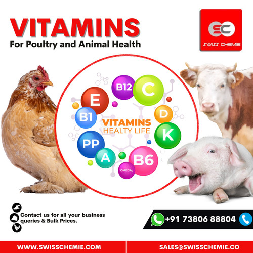 Vitamin A Supplier for Poultry | Swisschemie.jpg