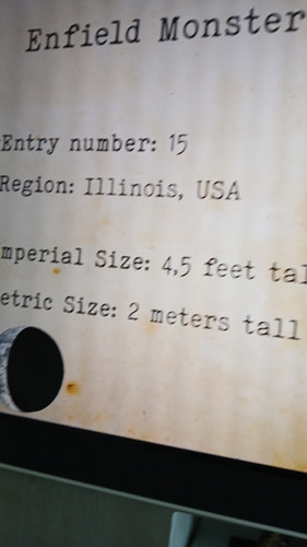 temp 1771073649290.jpg