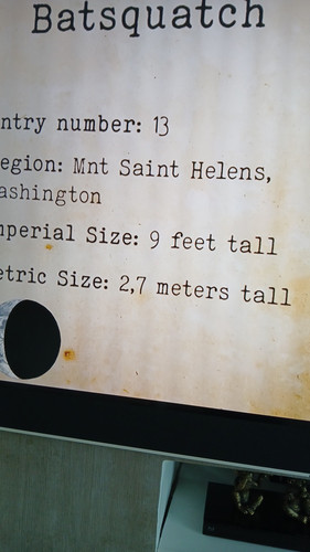 temp 1771073326699.jpg