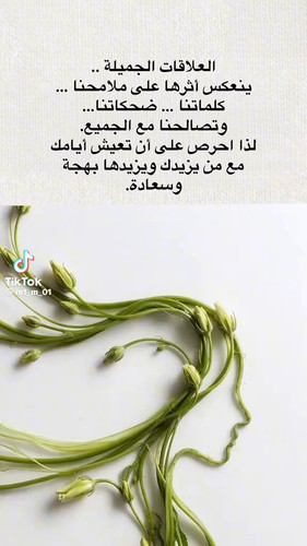 Kfw00CxiBE0VwMz7.jpg
