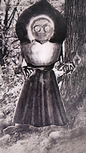 temp 1771073798055.jpg