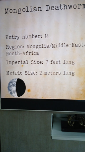 temp 1771073409530.jpg