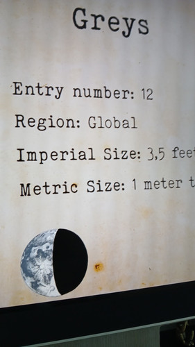 temp 1771073284201.jpg