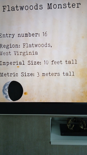 temp 1771073824596.jpg