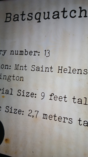 temp 1771073311999.jpg