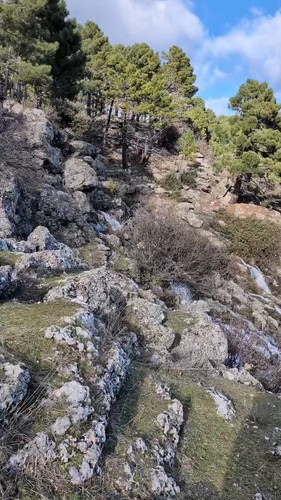 Sf88b8wLPYyH vf6.jpg