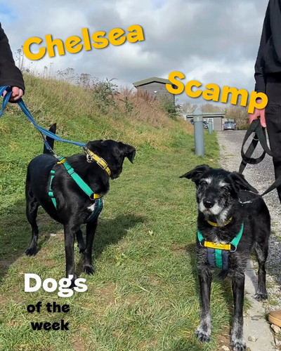 p 1ljqilBgAWGeVB.jpg